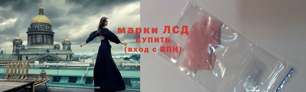 стафф Алексин