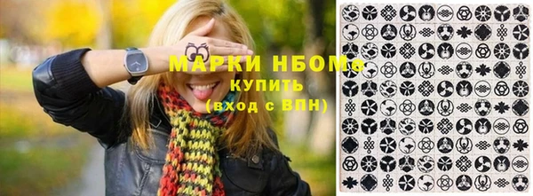 стафф Алексин
