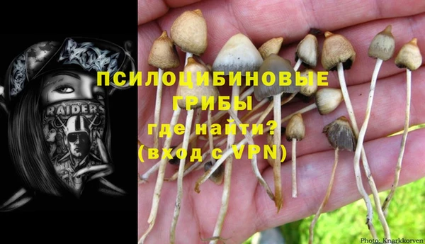 стафф Алексин