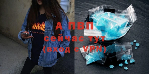 стафф Алексин