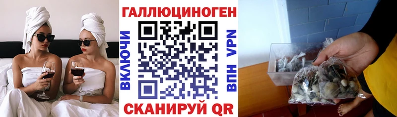 Купить закладки Вышний Волочёк Галлюциногенные грибы Psilocybe