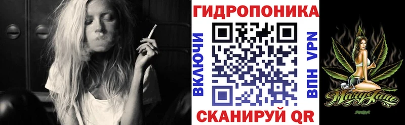 МАРИХУАНА гибрид  Купить где  Вышний Волочёк 